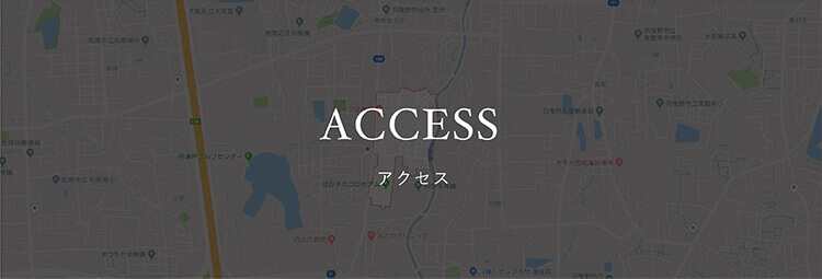 ACCESS